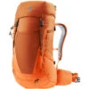 DeuterFutura 26 Rucksack -Deuter Store iview 5044800 005 pic1